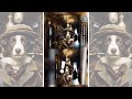 Mirror Image Find #3 🎩 #BorderCollie Holmes and the House of Mystery