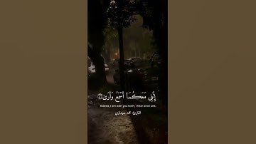 قَالَ لَا تَخَافَا ۖ إِنَّنِي مَعَكُمَا أَسْمَعُ وَأَرَىٰ🌌✨-سورة طه-الآية ٤٦