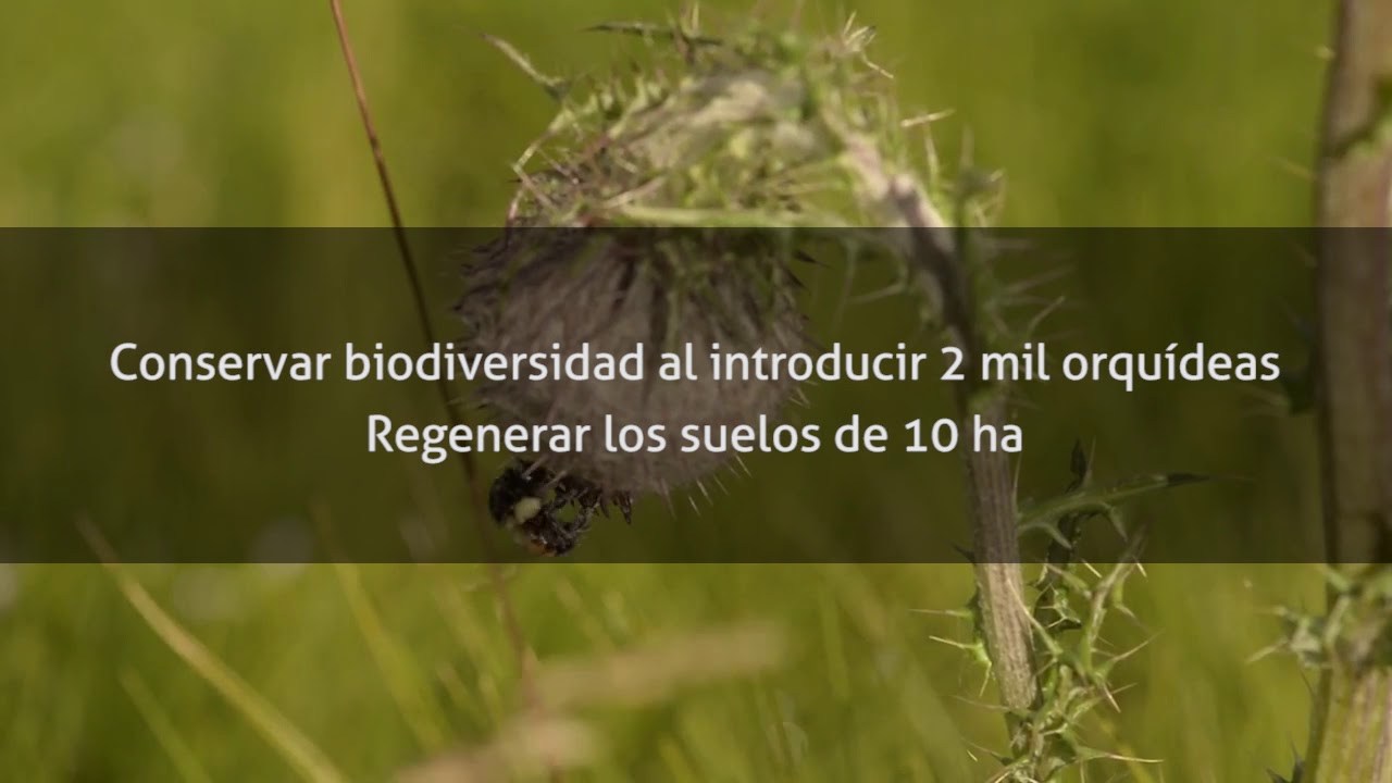 Alianza Keren Kayemet México y Procuenca