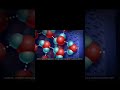 How Xylem Works?? #science #plants #viralvideo #medicalstudent #medical #viral #shortvideo