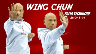 Master Wing Chun Palm Techniques Lesson 5 30 | Awaken Your Inner Warrior