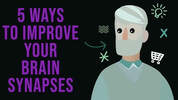 How to improve your Brain Synapses