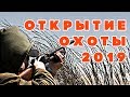 Открытие охоты на утку 2019 | Особенности национальной охоты в Украине