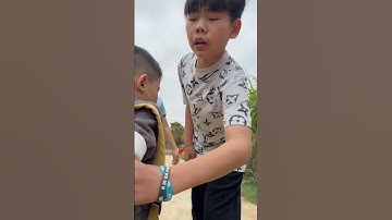 Cậu Bé Hiểu Chuyện Và Người Anh Tốt P4 | Lùn Tippi Tặng Sữa Cho Anh Tippi | Tippi TV#tippitv