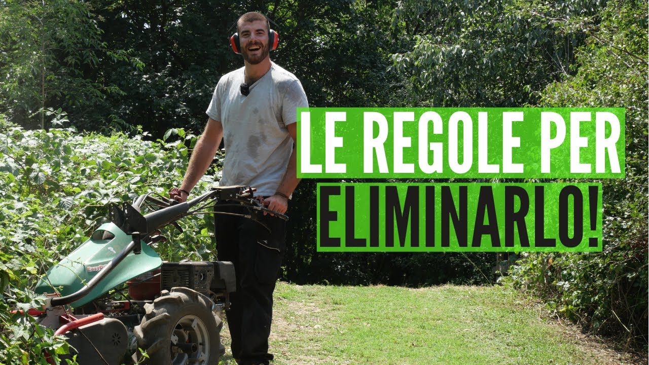 il ROVO, 5 sue QUALITA' e il suo CONTENIMENTO