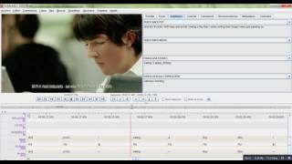 McD_AD_Multimodal_Transcription (ELAN)