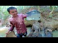 Amazing Found Arowana Fish in Hole Under Flooded tree trunk in River