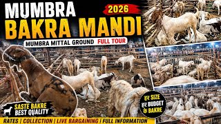 Mumbra Bakra Mandi🐐🐐| Mumbra Mittal Ground Bakra Mandi 2026 | Bakra Mandi Full Tour | Mumbra Vlog