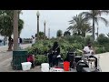 ساز و سرود در کنار ساحل سانتامونیکا لس آنجلس ساز و سرود در کنار ساحل سانتامونیکا لس آنجلس