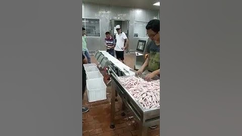 High quality food grade check weighing machine weight checker checkweigher