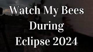 Watch Bees React to a Total #eclipse  in the Path of Totality.  Eclipse 2024