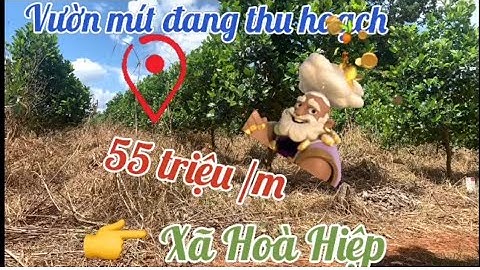 🔴 RẺ NHẤT Huyện Xuyên Mộc | 28x36m giá 1 tỷ 550 triệu | Xã Hoà Hiệp , H.Xuyên Mộc, Tỉnh BR-VT
