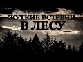 Жуткие встречи в Лесу. Страшные истории на ночь про Лес (4в1)