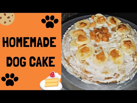 danny seo dog birthday cake