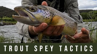 Trout Spey Tactics