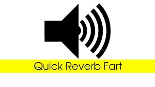 Quick Reverb Fart - Sound effect