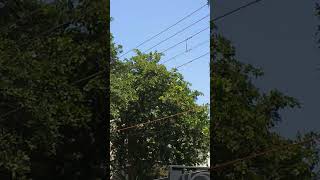 This Videos Is All Treat And Is Close To My Hearth Heart Earth