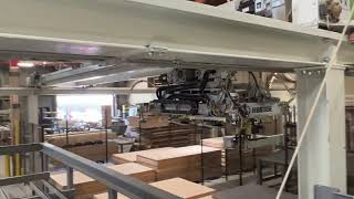 Biesse "Winstore 3D K1" Automated Material Handling System (2017)