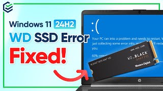 Windows 11 24H2 SSD BSOD Fixed | Western Digital SSD BSOD Issues 2024