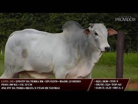 LOTE 102   EPCO 2370