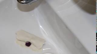 E4 e-sting(college)