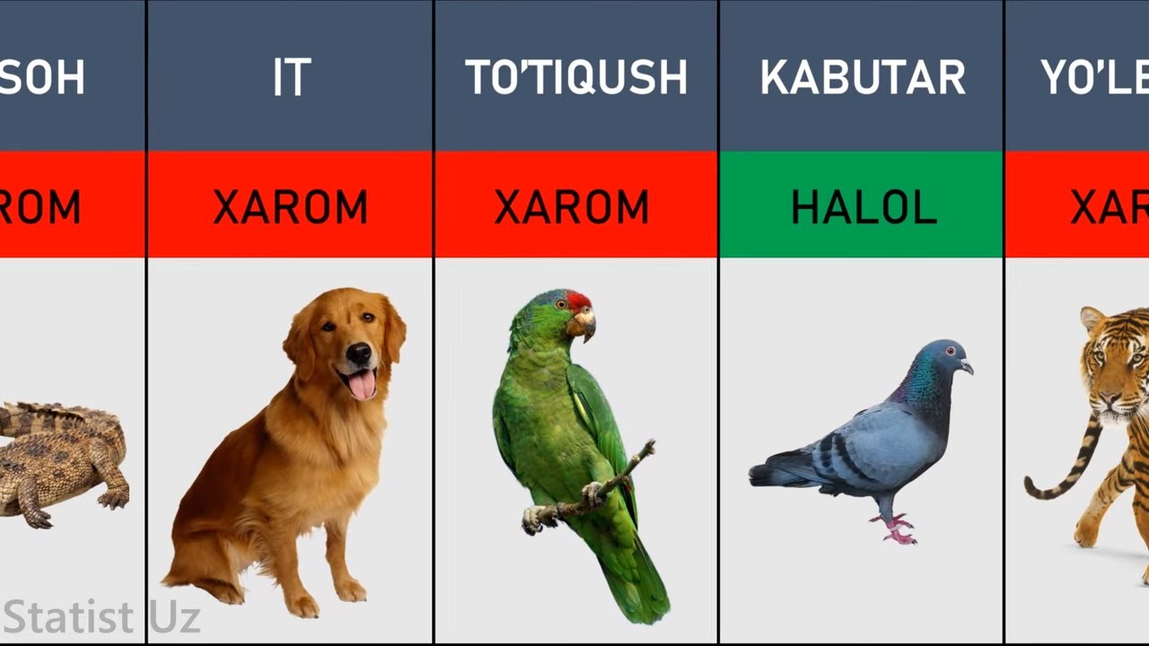 Anastasiya Zavorotnyuk ishtirokidagi porno video