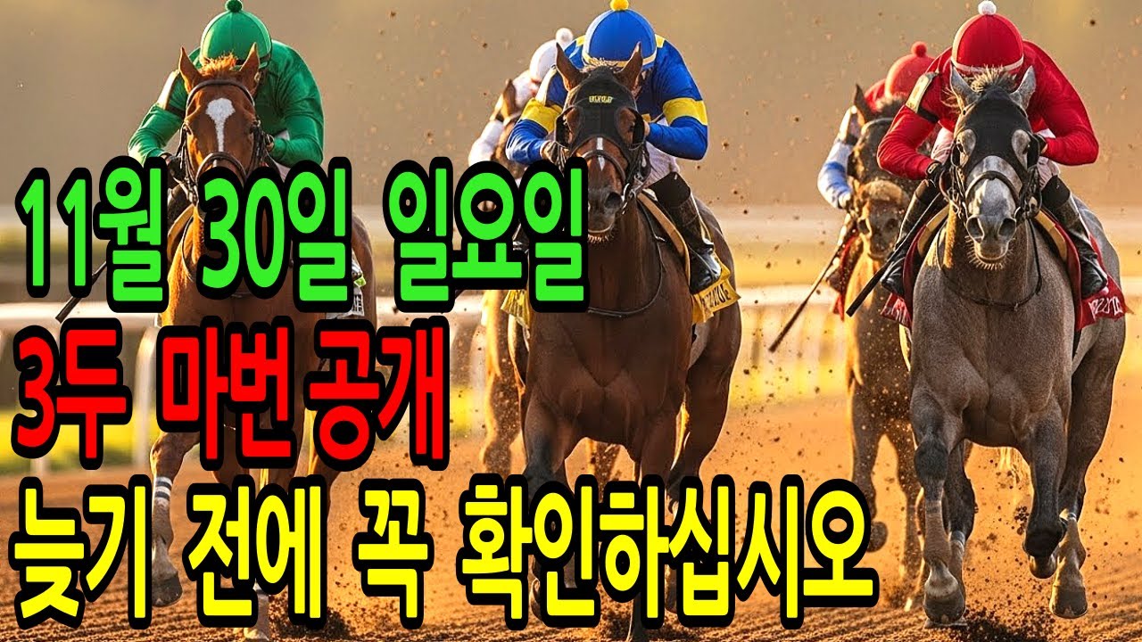 11월 30일 일요일 경마~“늦기 전에 꼭 확인하십시오 배당 터질 조짐이 왔습니다.”ㅣ승전경마 전문가의 이변 포착 l 경마 l 경마예상 l 코리아레이스 l 검빛경마 ㅣ경마정보