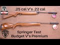 Springer, Budget V's Premium and .25 cal V's .22 cal