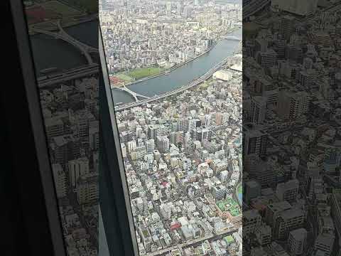 The Tembo Deck Of Tokyo SkyTree 4K UHD HDR!