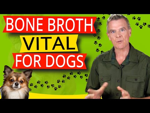 Videó: Bone Broth kutyáknak - Mi a Big Deal?