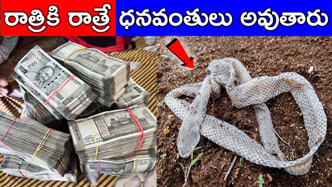 రాత్రికి రాత్రే ధనవంతులు అవుతారు