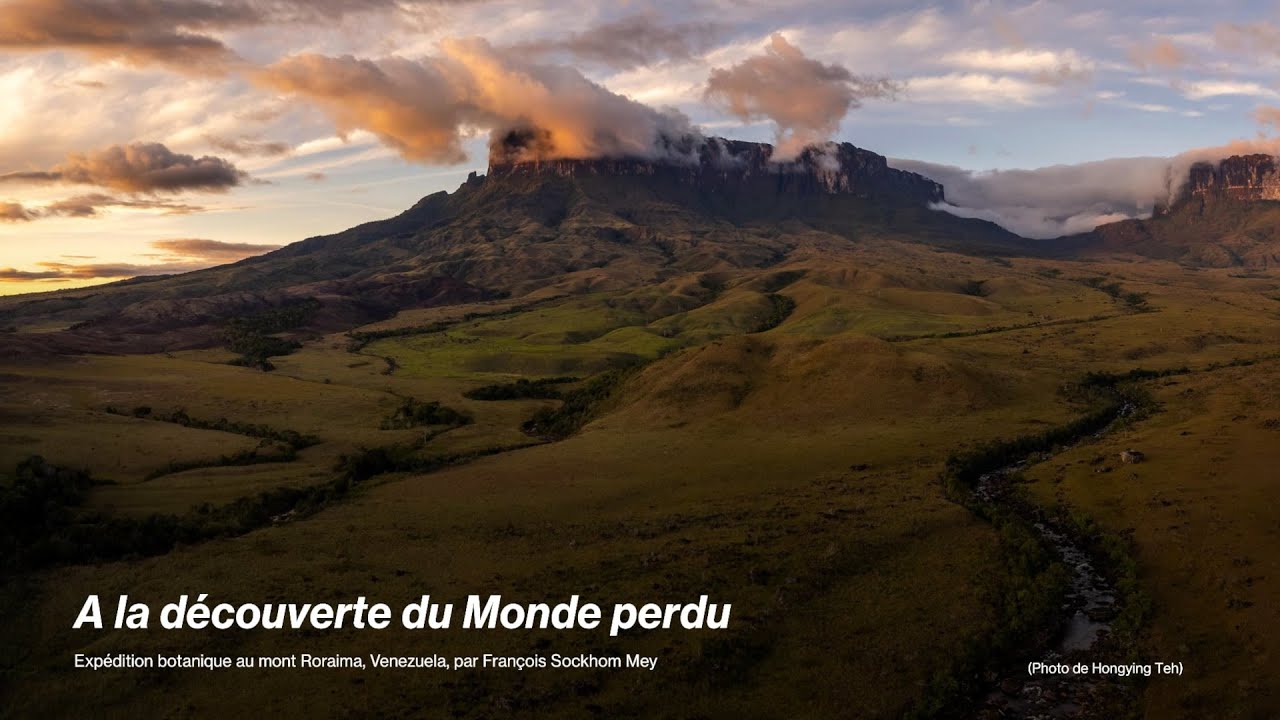 À la découverte du monde perdu par François Mey