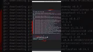 "Installing Gowitness in Kali Linux | Step-by-Step Guide | #shorts"