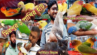 মিরপুর ১ পাখির হাটে বৃষ্টির মাঝেও চমক | হাটে এলো পার্সিয়ান বিড়াল, টিয়া, কনুর | Mirpur 1 Pakhir Hat