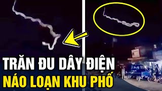 Trăn khổng lồ mắc dây điện rồi rơi xuống đất, hú hồn cảnh hàng chục người vây quanh bắt giữ screenshot 5