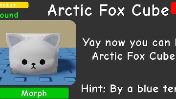 How To Get The “Arctic Fox Cube” | Find The Floppa Morphs #roblox #floppa
