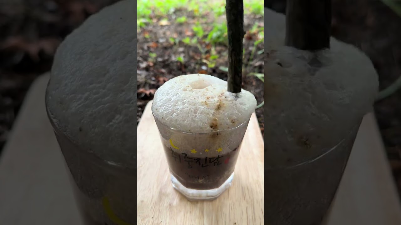 Survival Skills SIMPLE and USEFUL save SOAP Water in forest camping outdoors survival skills10K