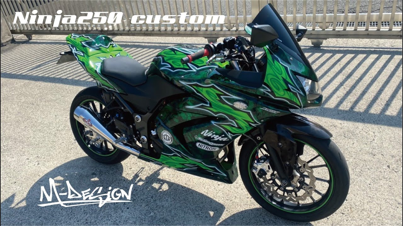 Kawasaki ニンジャ250】 カスタム車両。 ニンジャ250 Ninja250 MDS
