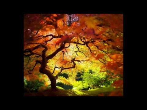 موسيقى تاخد العقل