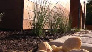 Meet the Avion Park Landscape Architect