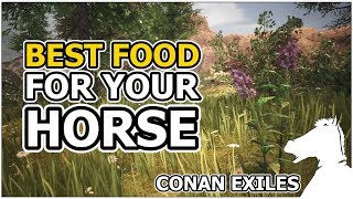 Best food for your Horse | CONAN EXILES