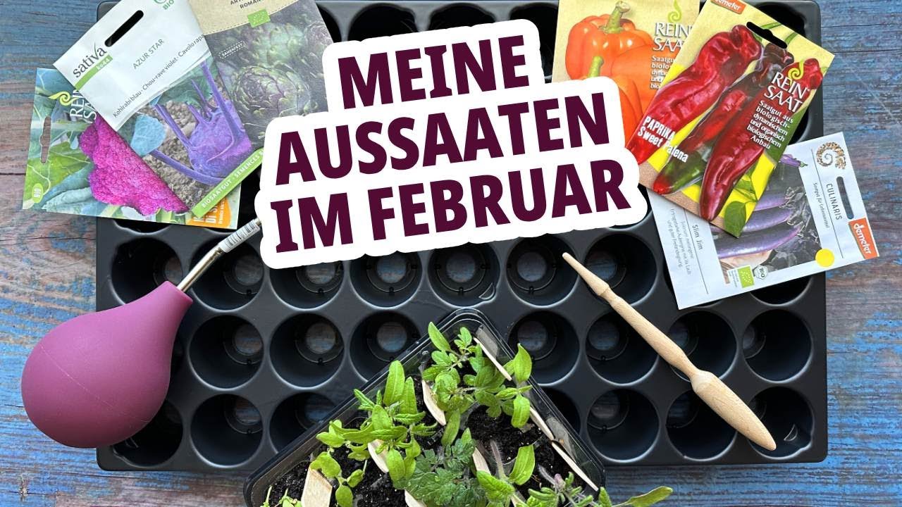 Was kann man im Februar säen? Tipps und Tricks für die Aussaat im Frühjahr