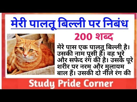 Essay on My Pet Cat 🐱 in Hindi | Meri Paltu Billi Par Nibhand | मेरी पालतू  बिल्ली पर हिन्दी निबंध - YouTube