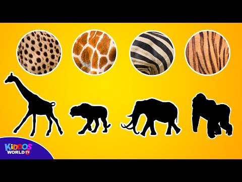 Guess the Animal Game and Learning to Count Animals