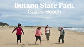Butano State Park & Gazos Beach | Redwoods, Ocean & Coastal Beauty