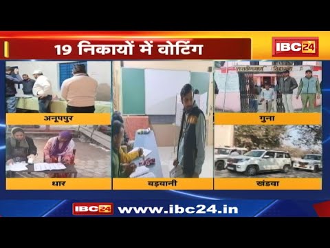 Madhya Pradesh Urban Body Election 2023 : शहर सरकार की जंग | 19 निकायों में वोटिंग जारी
