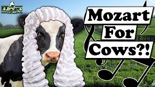 Mozart for Cows?!