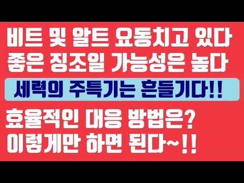 <strong>CBDC</strong>, 전망, 가격분석, 차트분석, 이더리움, 라이트코인