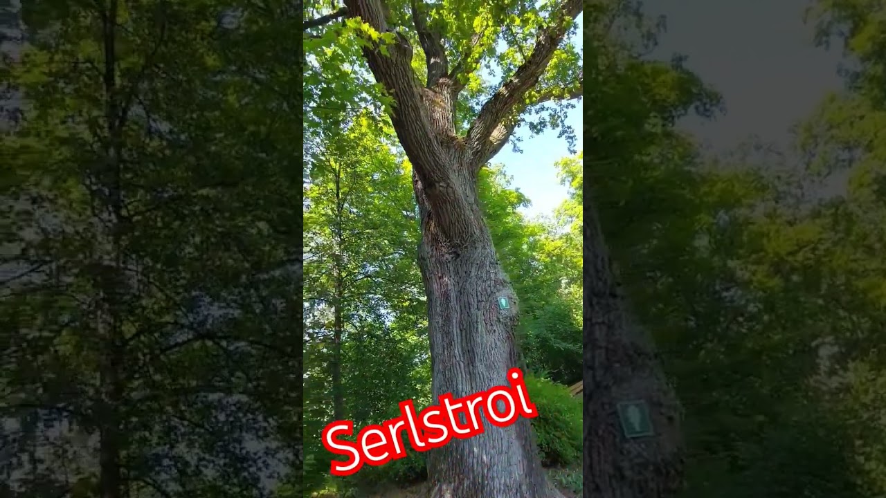 relax ,релакс , лучший день ,один день 