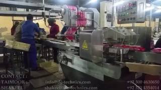 SLUG PACK MACHINE ON-LINE FOR PACKING BISCUITS STANDING ON-EDGE, MACHINE WORKING IN SOUTH AFRICA